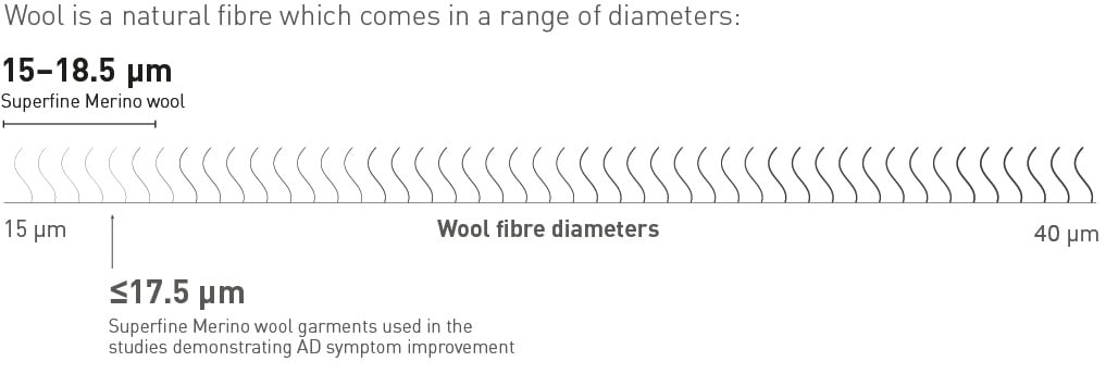 fibre-.jpg